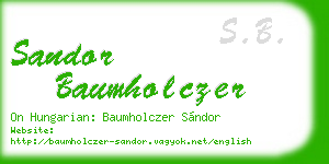 sandor baumholczer business card